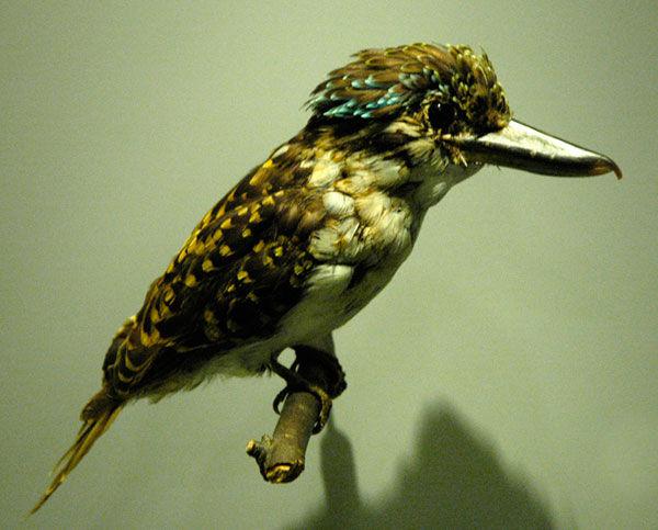 ��������ͼƬ