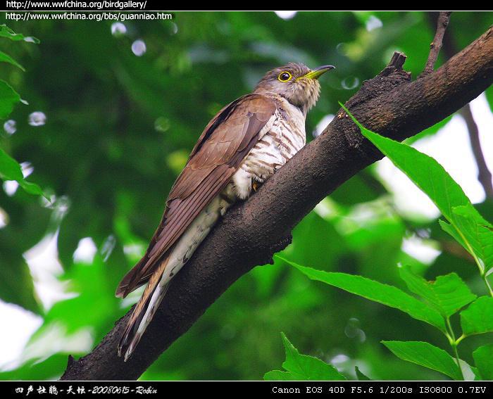 �����ž�