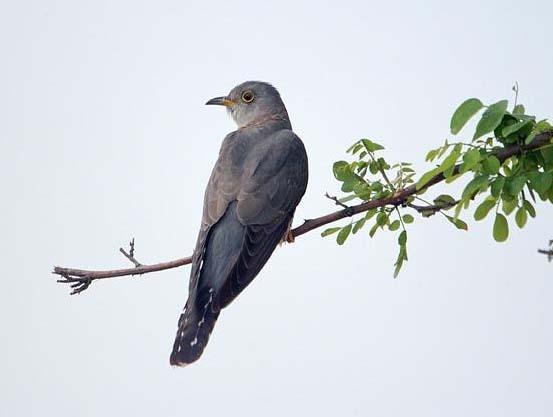 �����ž�