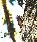 �۰���ȸ��