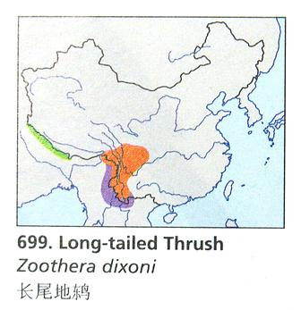 ��β��𴣺�����ֲ�ͼ