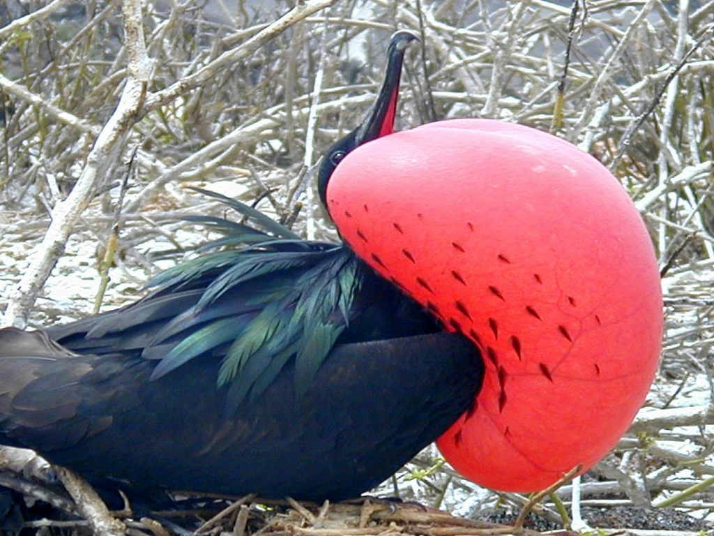 �ڸ�����������