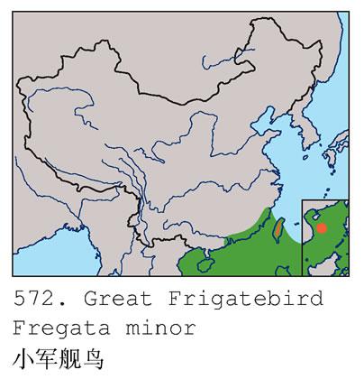 �ڸ������񣺵����ֲ�ͼ