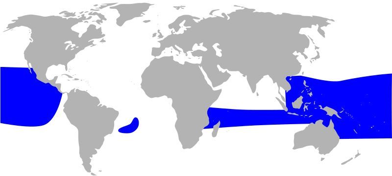 �ڸ�����������ֲ�ͼ