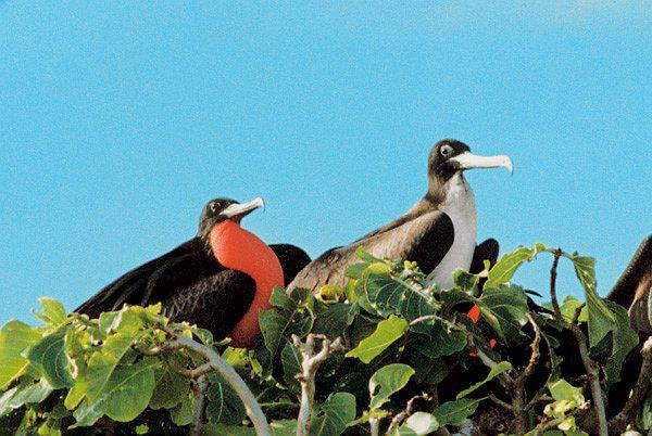 �ڸ�������