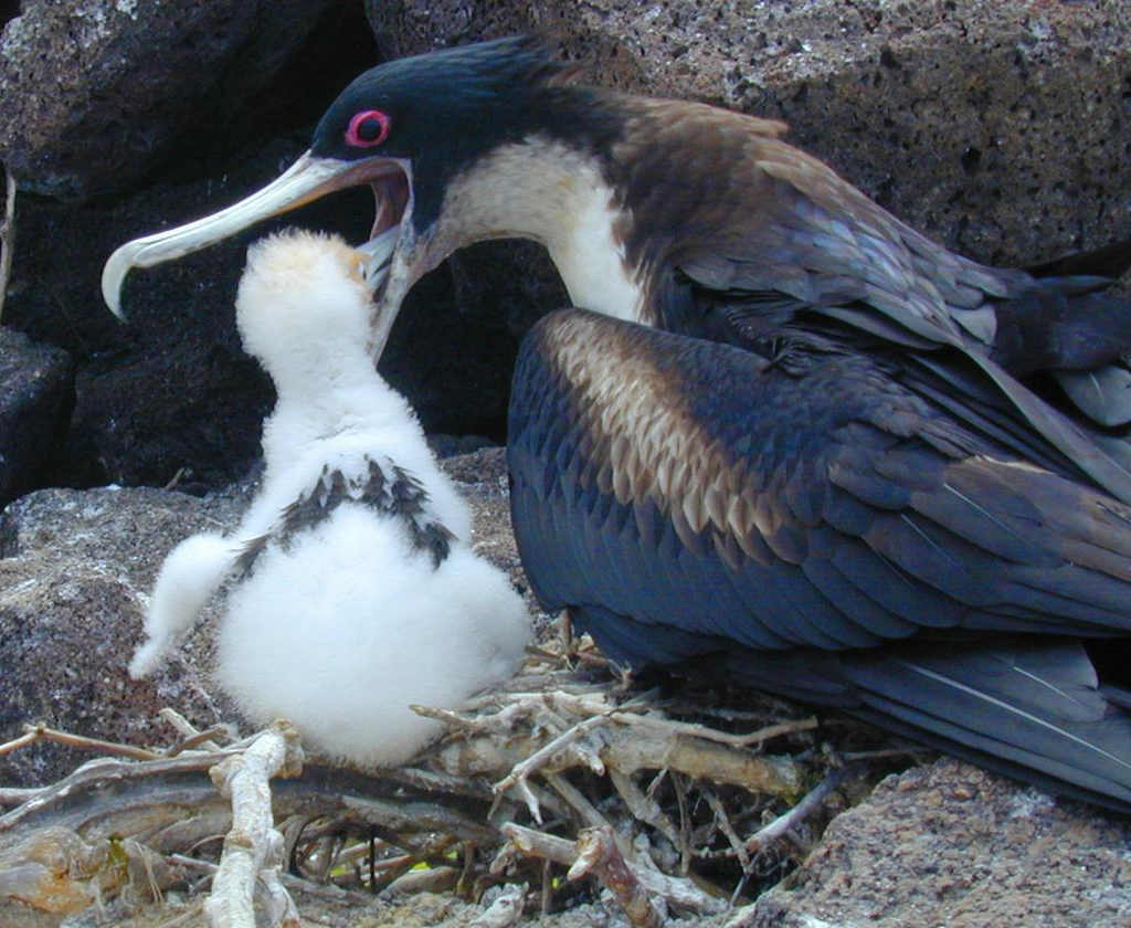 �ڸ�������