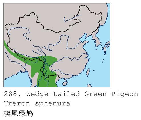 Шβ��汎�����ֲ�ͼ