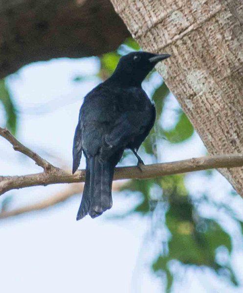 ���ɱ��ھ��V��ͼƬ