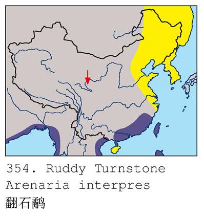 ��ʯ�֣������ֲ�ͼ