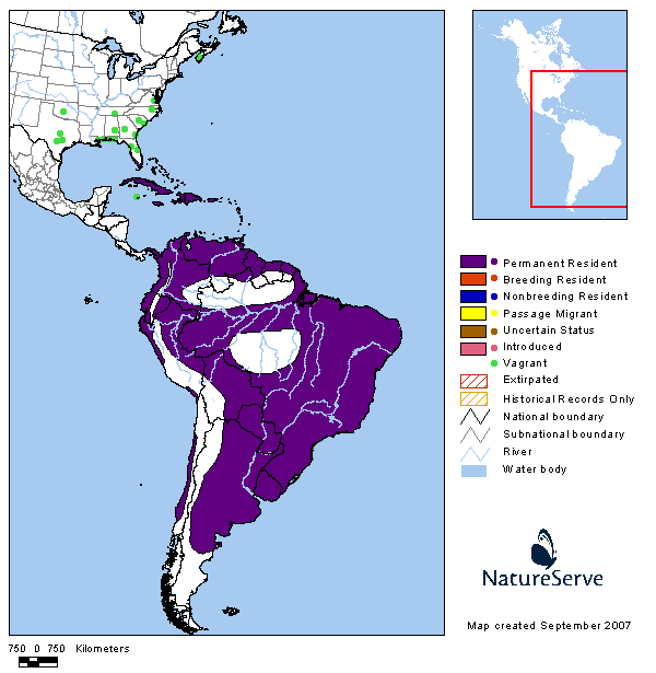 �ϻ�ţ𿣺�����ֲ�ͼ