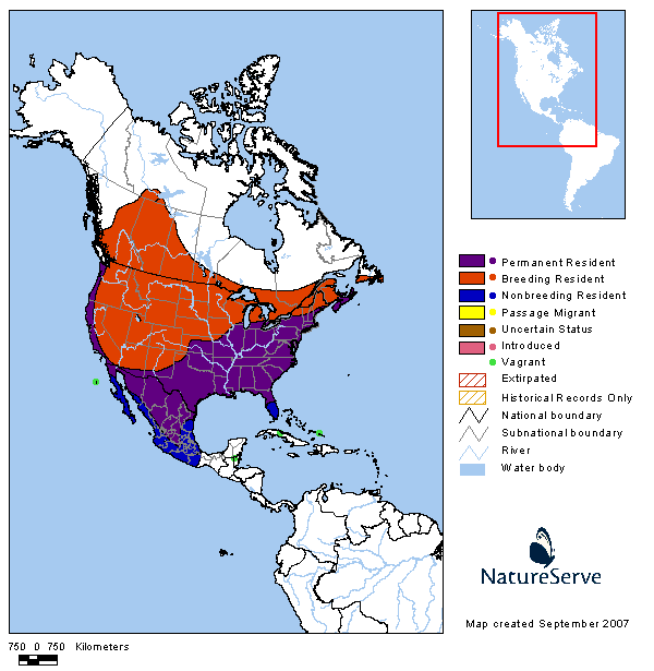 ��ͷţ𿣺�����ֲ�ͼ