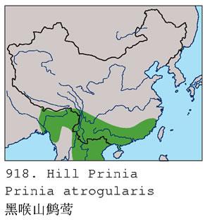 �ں�ɽ��ݺ�������ֲ�ͼ