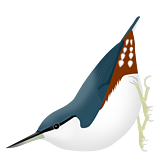 ���������[