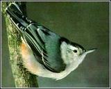 �����������[