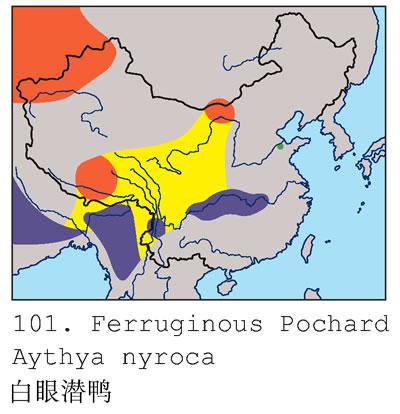 ����ǱѼ�������ֲ�ͼ