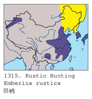 ���c�������ֲ�ͼ