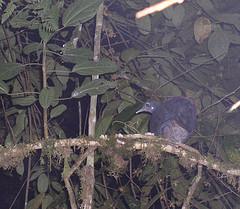 ��[����]��ͼƬ