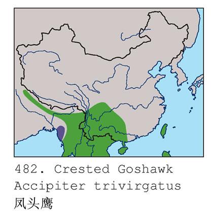 ��ͷӥ�������ֲ�ͼ