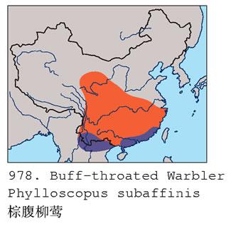 �ظ���ݺ�������ֲ�ͼ