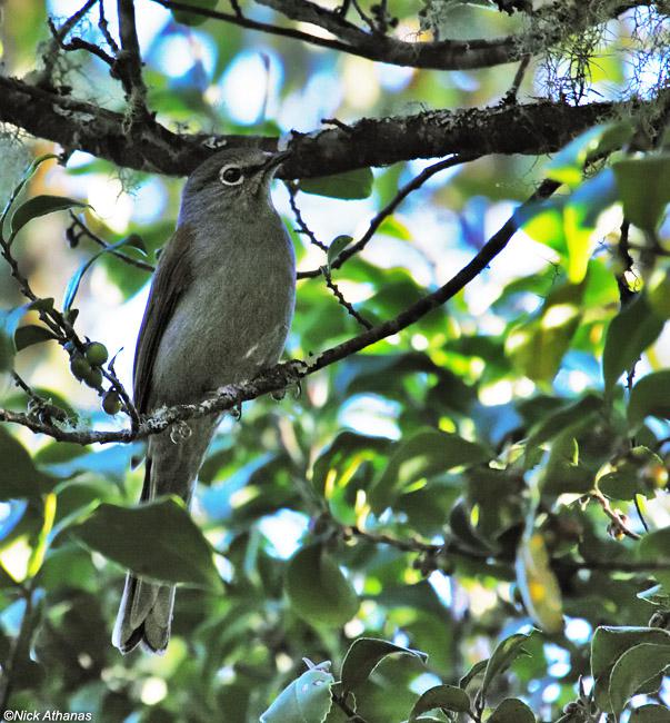 �ֱ�����ͼƬ