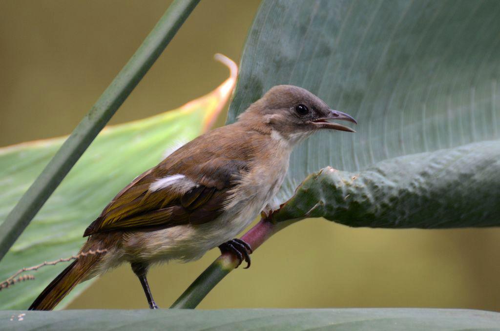 ��ͷ���ǳ�����Ӱ���ӵķ�