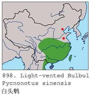 ��ͷ�ǣ������ֲ�ͼ