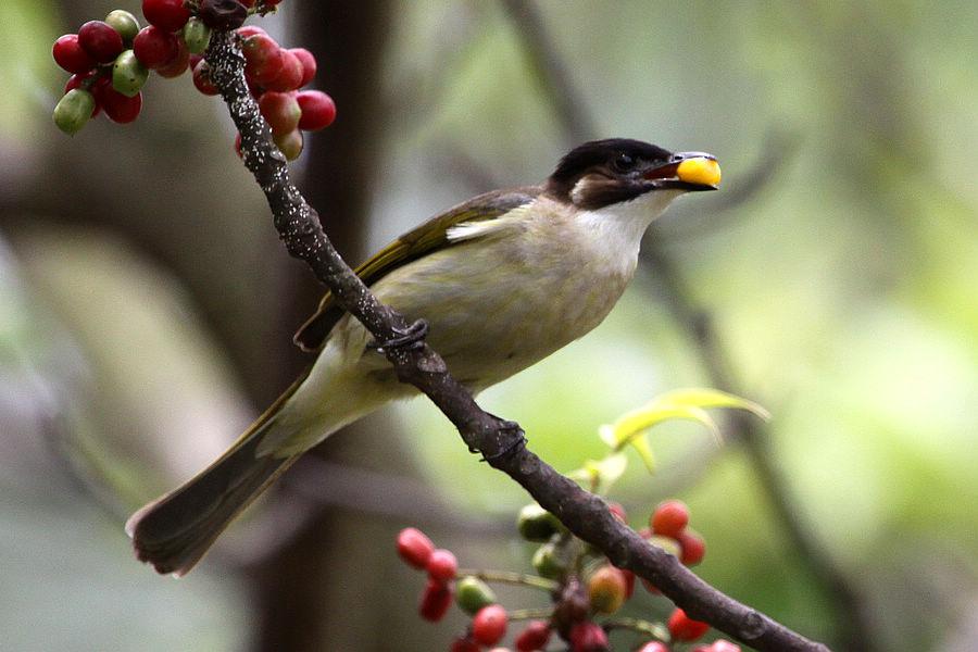 ��ͷ�Ǻ������֣�ͷ����ɫ���١���Ӱ��ɳ�ӡ�