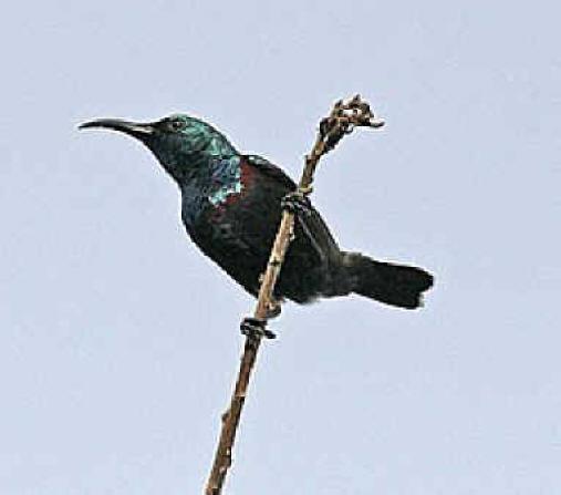 �����������ͼƬ