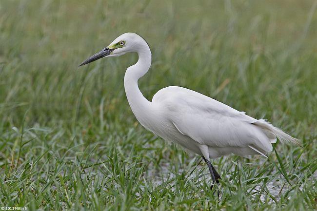 �а���ָ�����֣���ֳ����ȫ�ڣ�����ӡ�ȡ�