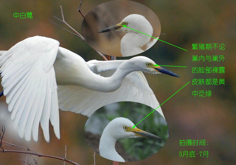 �а��أ�������¶Ƥ��