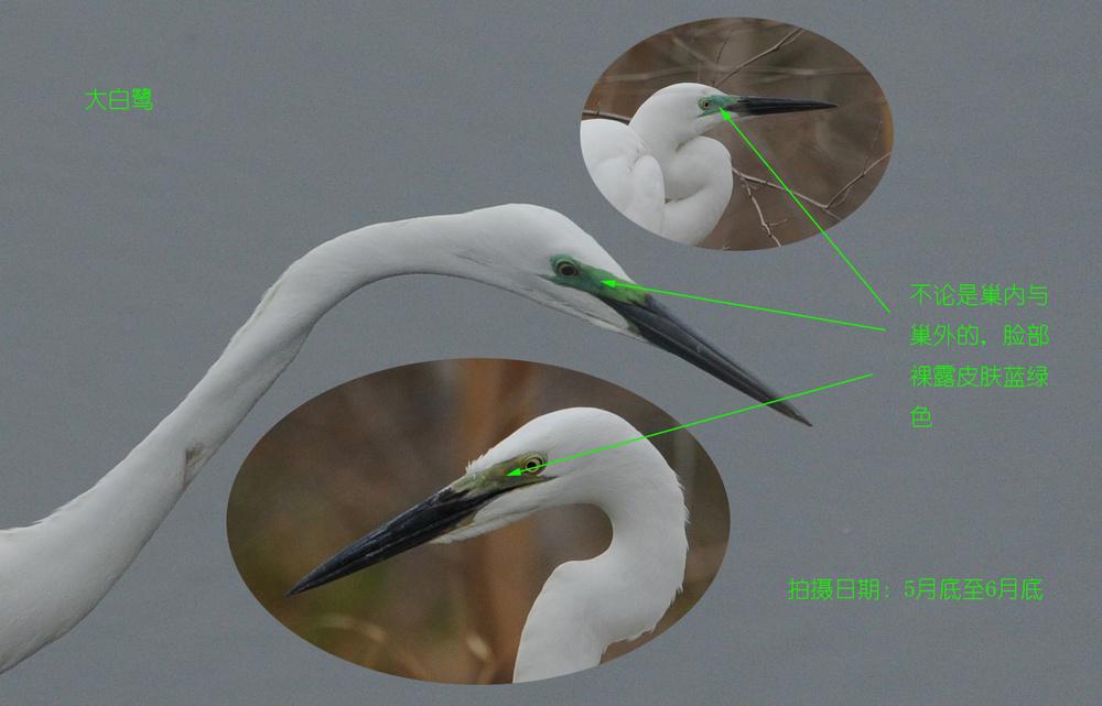 ����أ�������¶Ƥ��