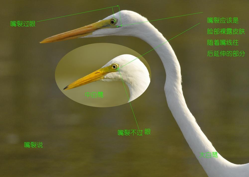 �а��أ����Ѳ�����