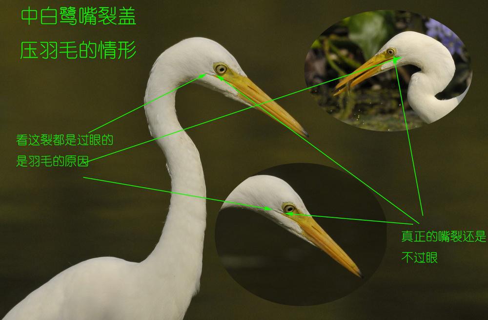 �а��أ�����