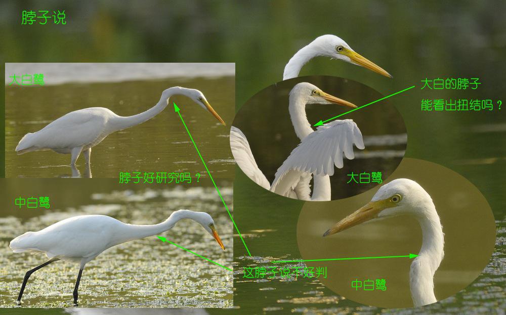 ����� vs �а��أ�����