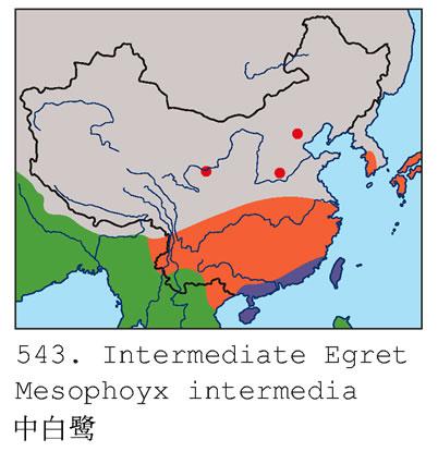 �а��أ������ֲ�ͼ