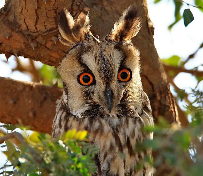 �����^������