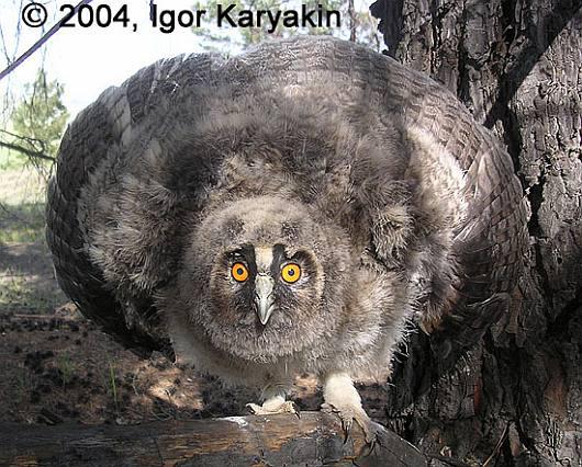 �����^���ܾ�������