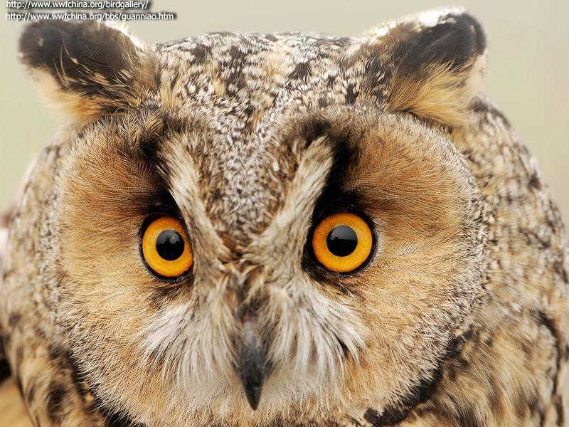 �����^������