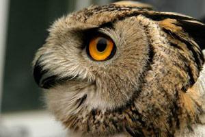 �����^������