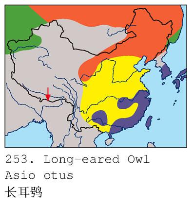 �����^�������ֲ�ͼ