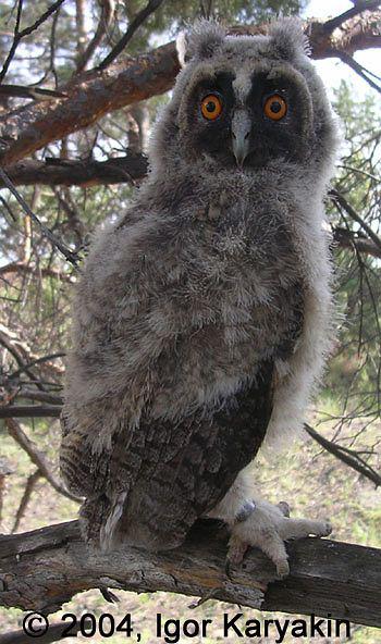 �����^������