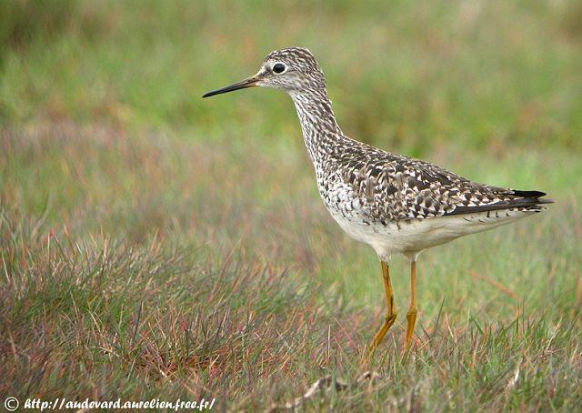 С�ƽ��֣���ֳ�����ڷ�����