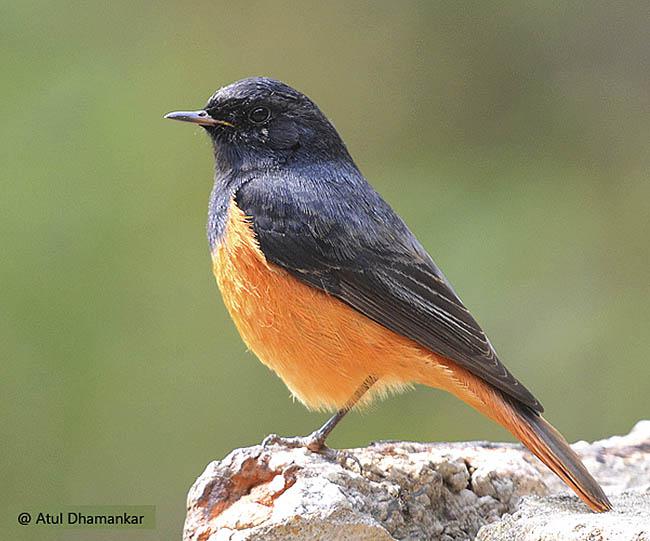 ����β��ͼƬ