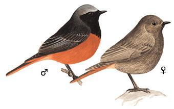 ����β𶣺��̬����ͼ