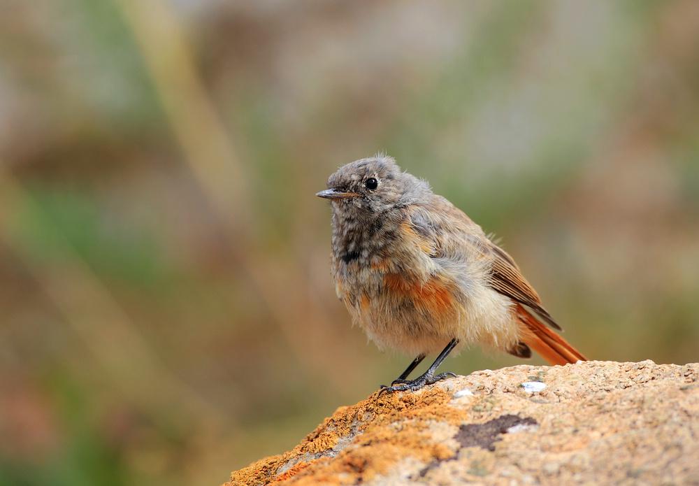 ����β𶣺������Ӱɳ��