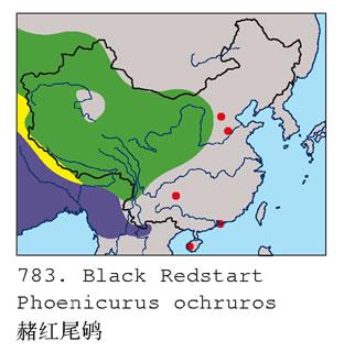 ����β𶣺�����ֲ�ͼ