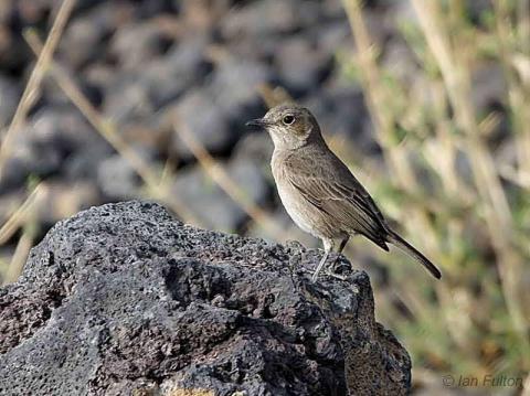 �����S��ͼƬ