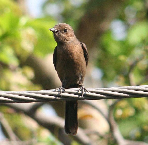 �����S��ͼƬ