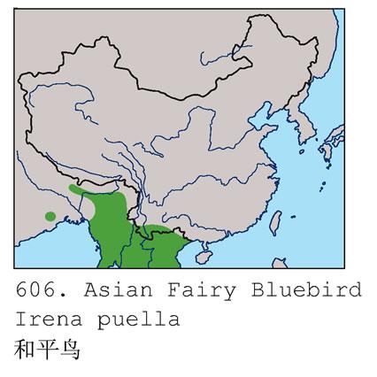 ��ƽ�񣺵����ֲ�ͼ