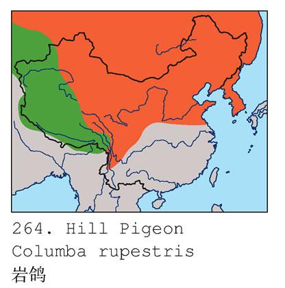 �Ҹ룺�����ֲ�ͼ